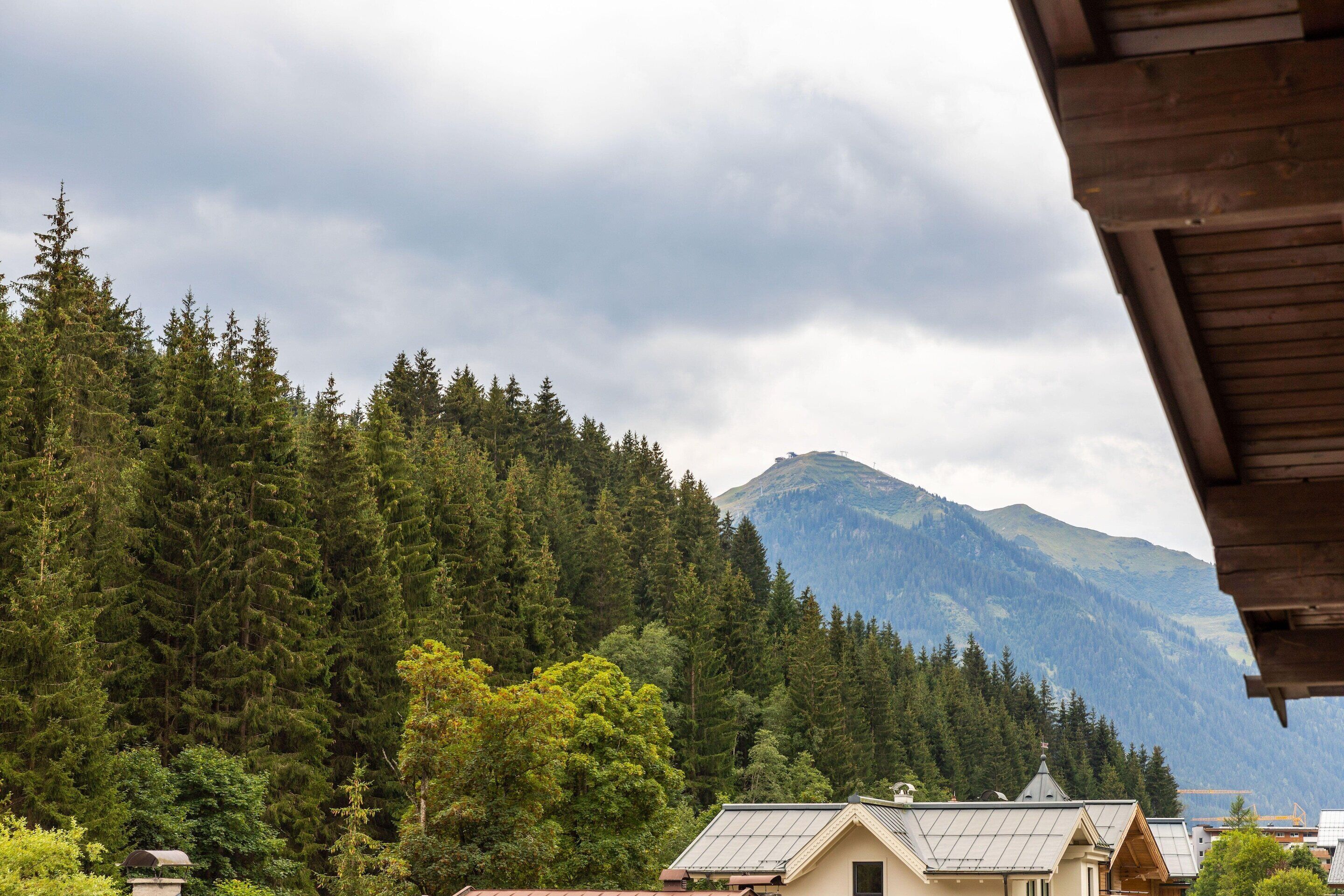 A mountainous landscape with dense forest and a few buildings with solar panels.