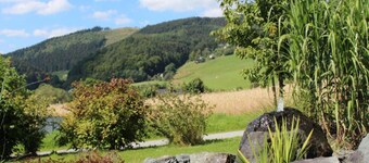 Magnificent Apartment in Willingen With Balcony