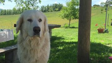 Maison Confort, 4 chambres | Jardin