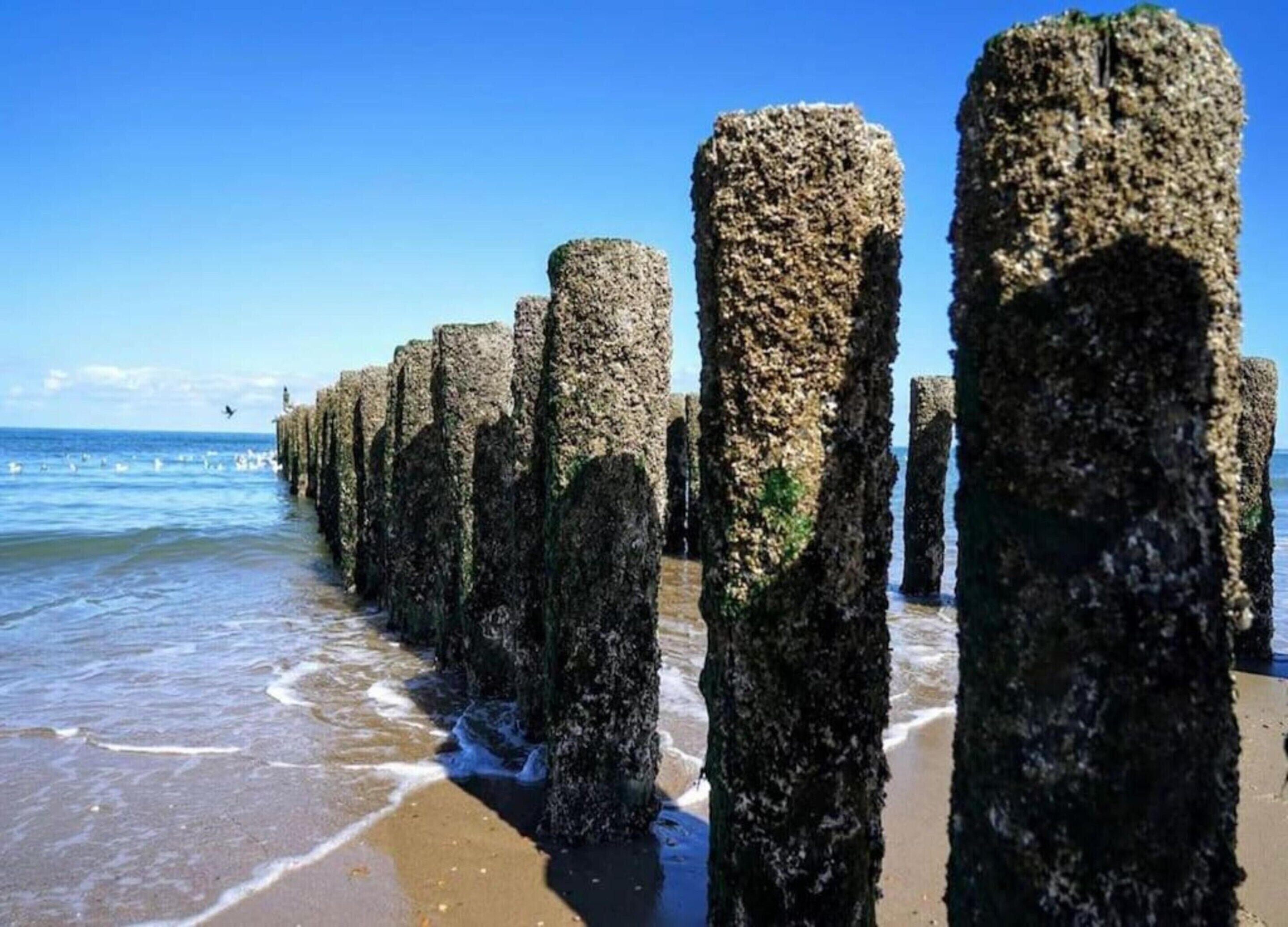 A beach with a row of tall, weathered stone pillars extending into the sea.