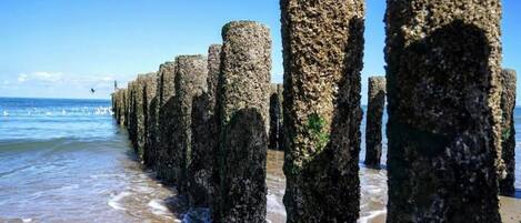 A beach with a row of tall, weathered stone pillars extending into the sea.