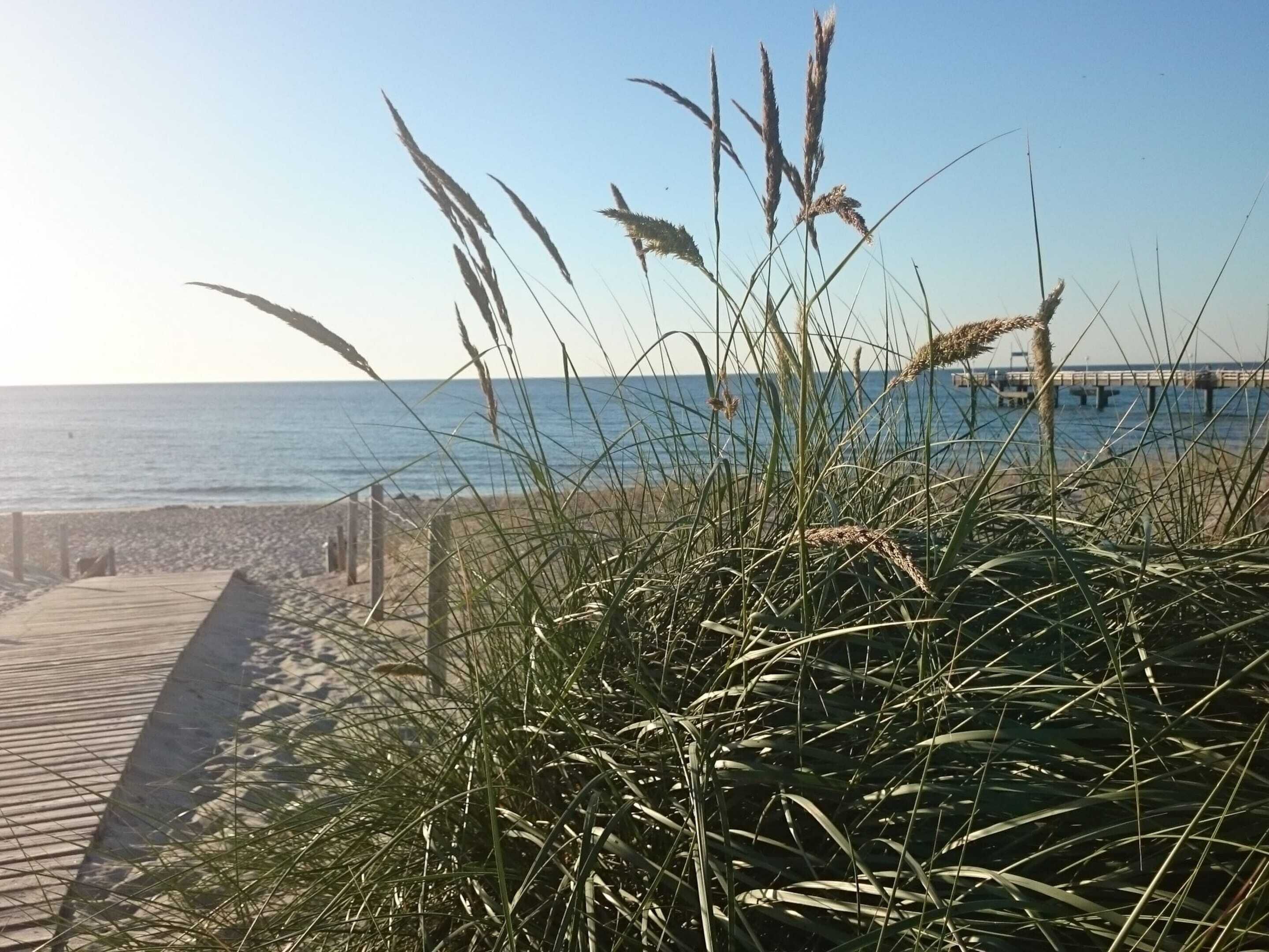 A beach with a wooden boardwalk leading to the water, and tall grasses in the foreground.