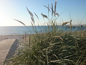 A beach with a wooden boardwalk leading to the water, and tall grasses in the foreground. - Beautiful Apartment in Rerik With Garden Near Sea (Rerik)