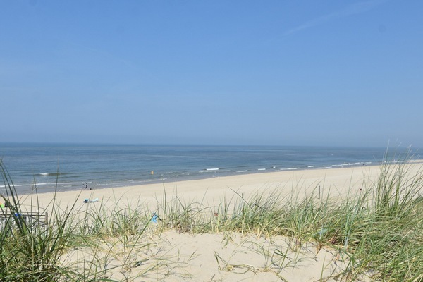 Comfort Apartment, 1 Bedroom | View from property