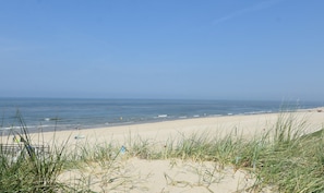 A beach with sand dunes and a clear view of the ocean.
