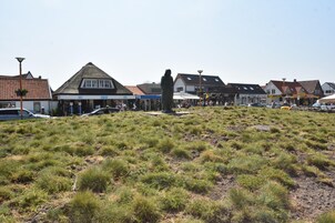 A grassy field with a statue in the center, surrounded by buildings with various storefronts.
