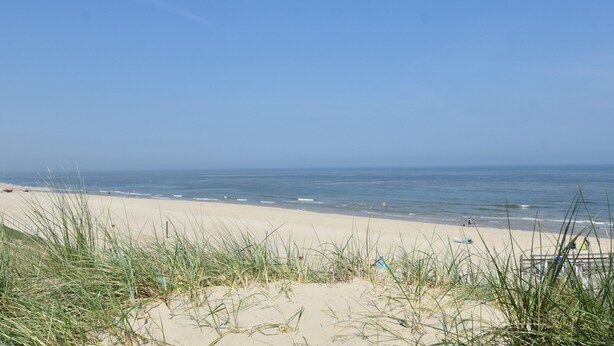 Een strand met duinen en een helder uitzicht op de oceaan.