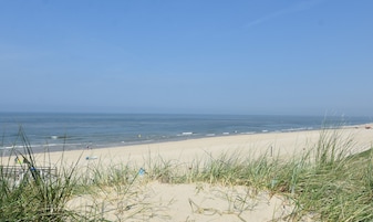 A beach with sand dunes and sparse vegetation.
