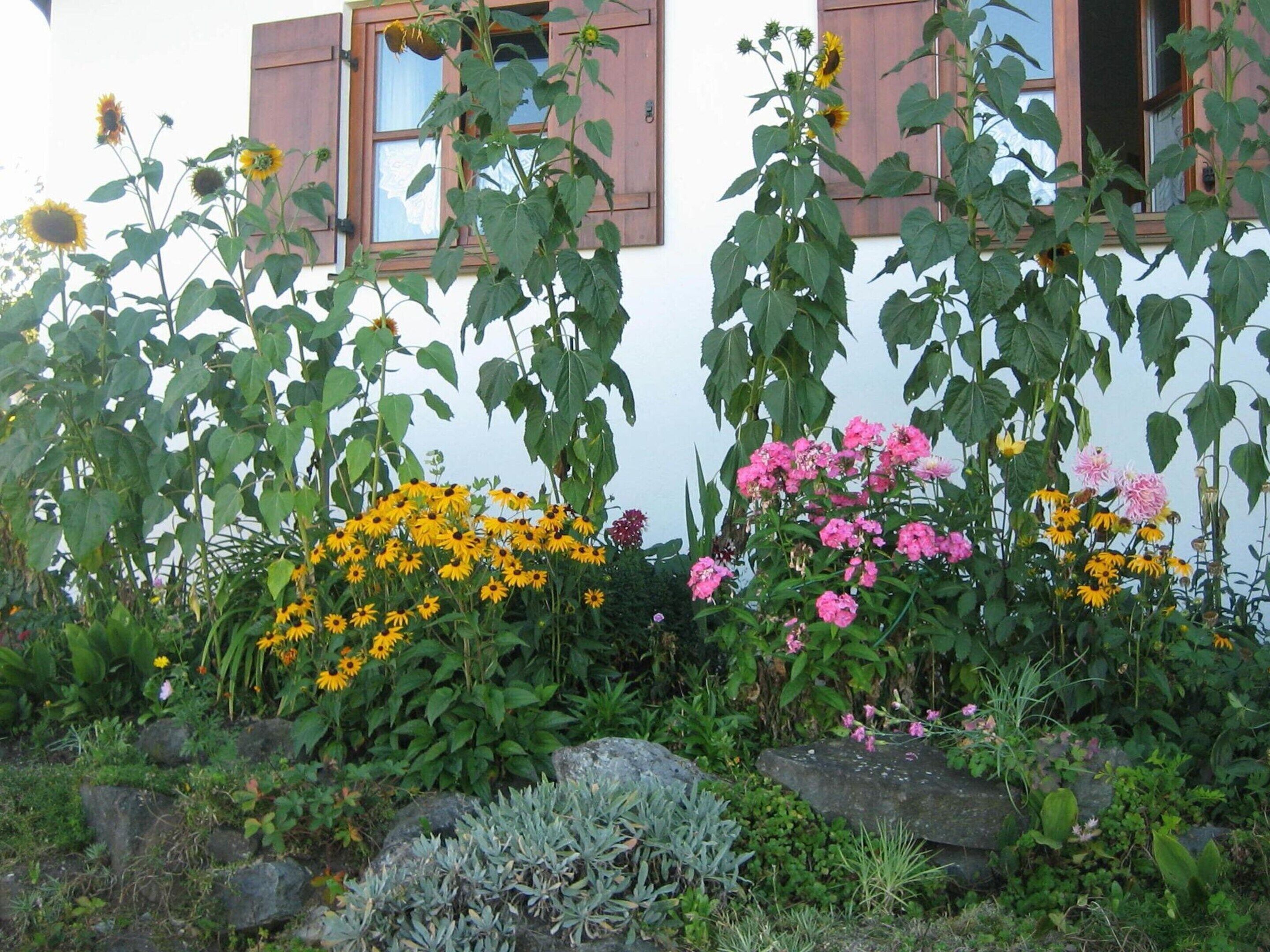 Comfort Apartment, 2 Bedrooms | Garden