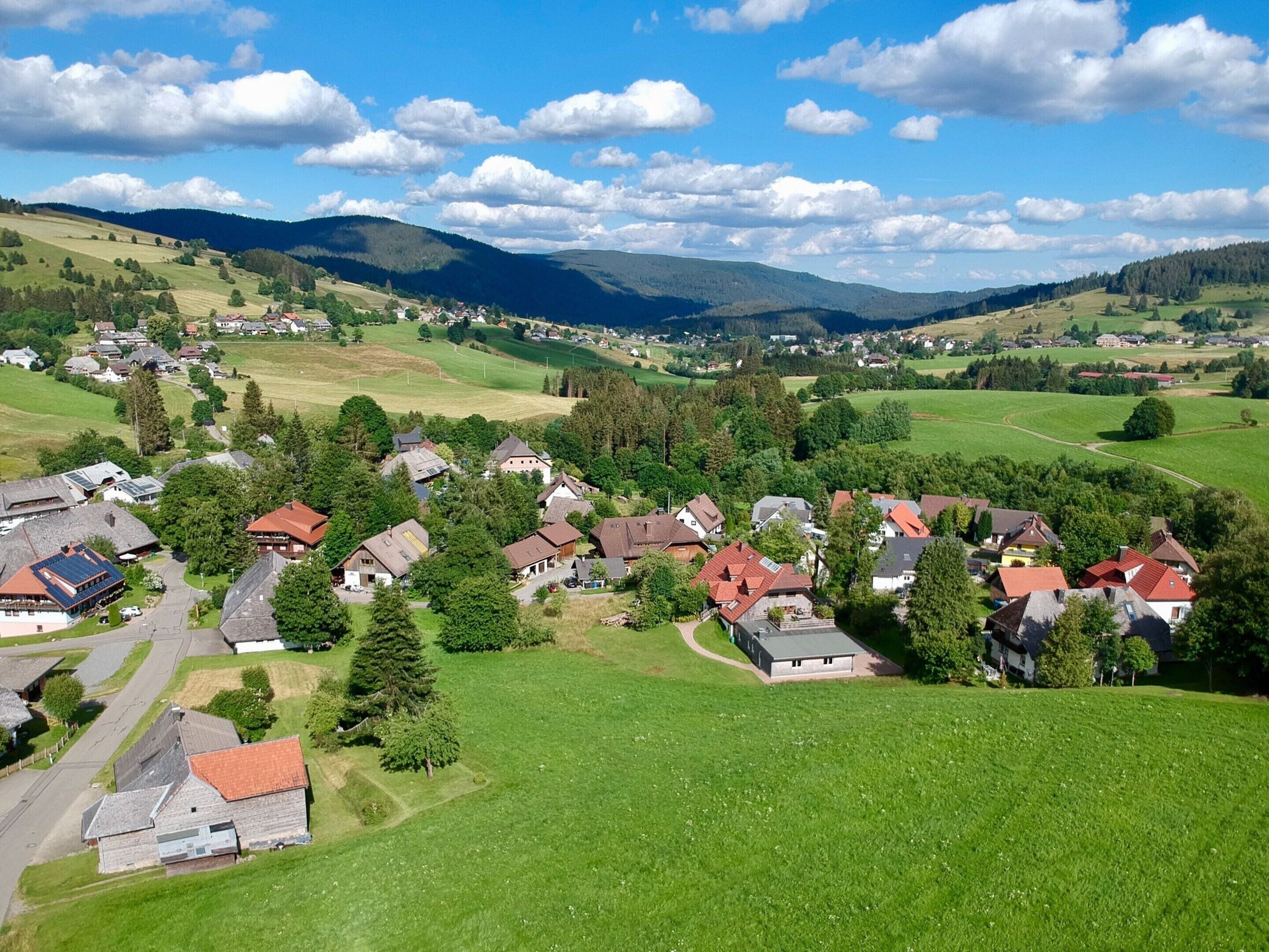 A rural village with houses surrounded by green fields and mountains in the background.