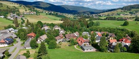 A rural village with houses surrounded by green fields and mountains in the background.