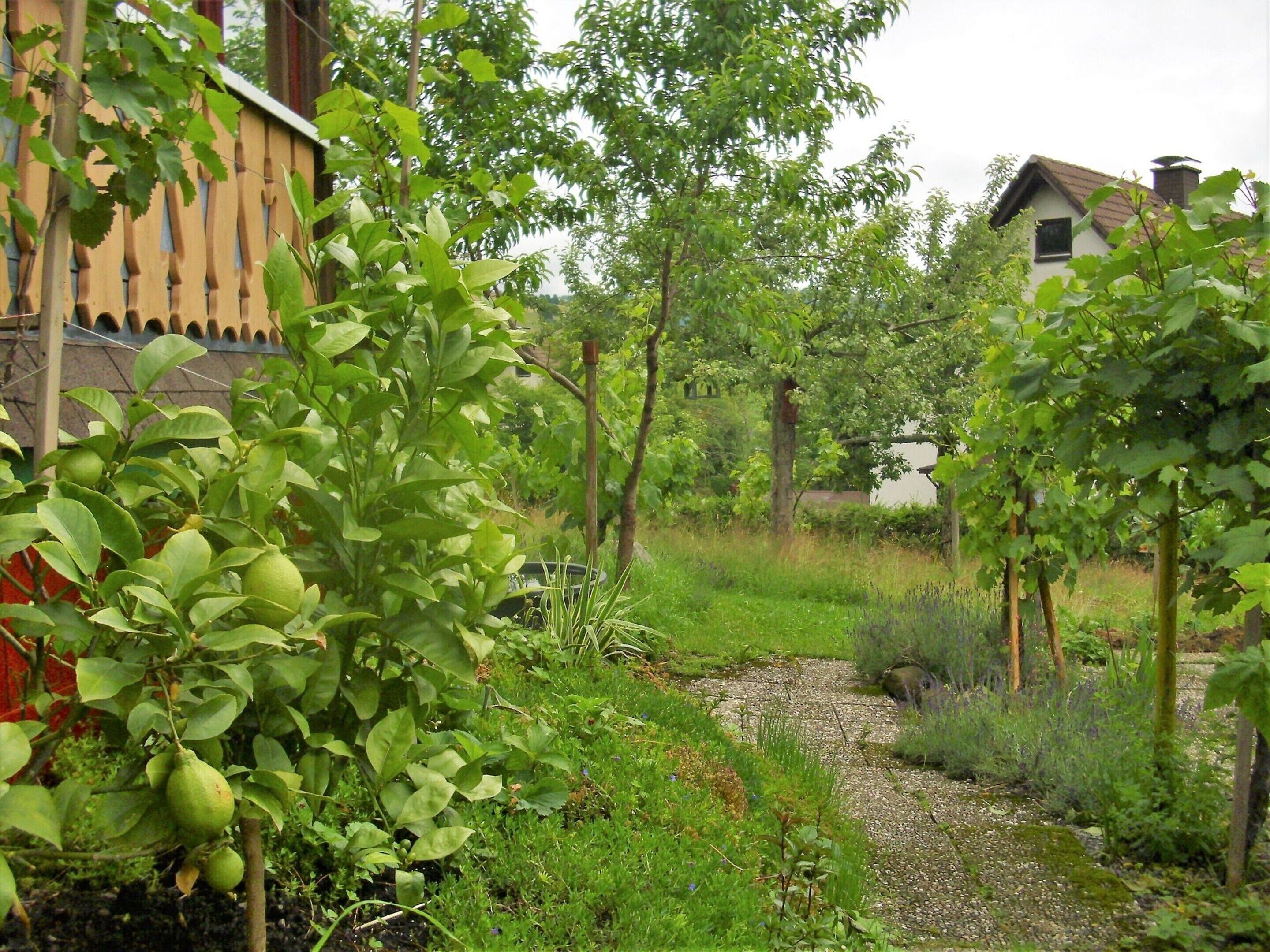 Deluxe Apartment, 2 Bedrooms | View from property