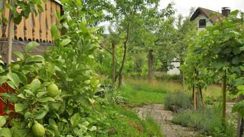 Deluxe Apartment, 2 Bedrooms | View from property