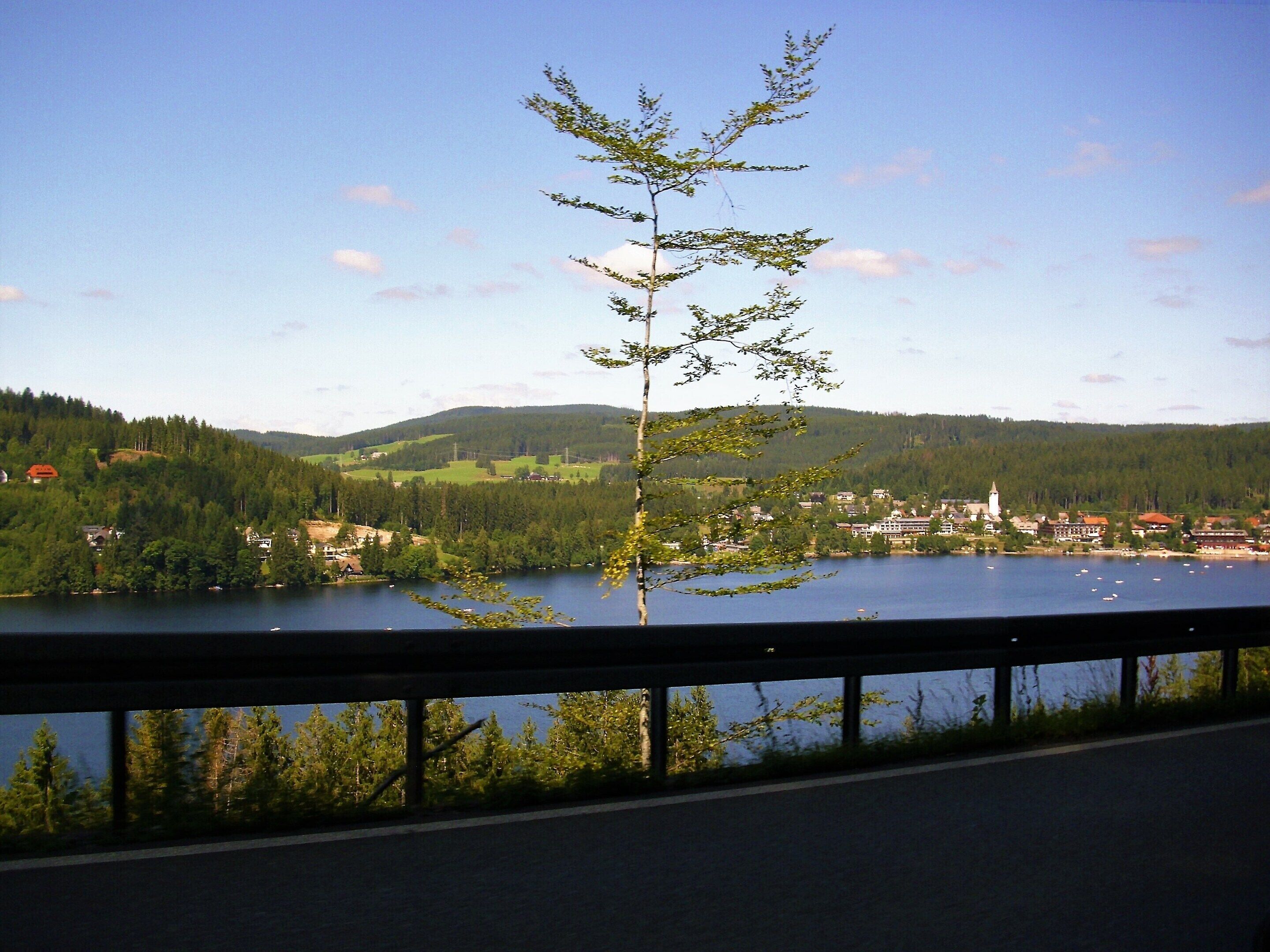 Vista de un lago con un pueblo pequeño al fondo, un árbol en primer plano y cielo despejado.