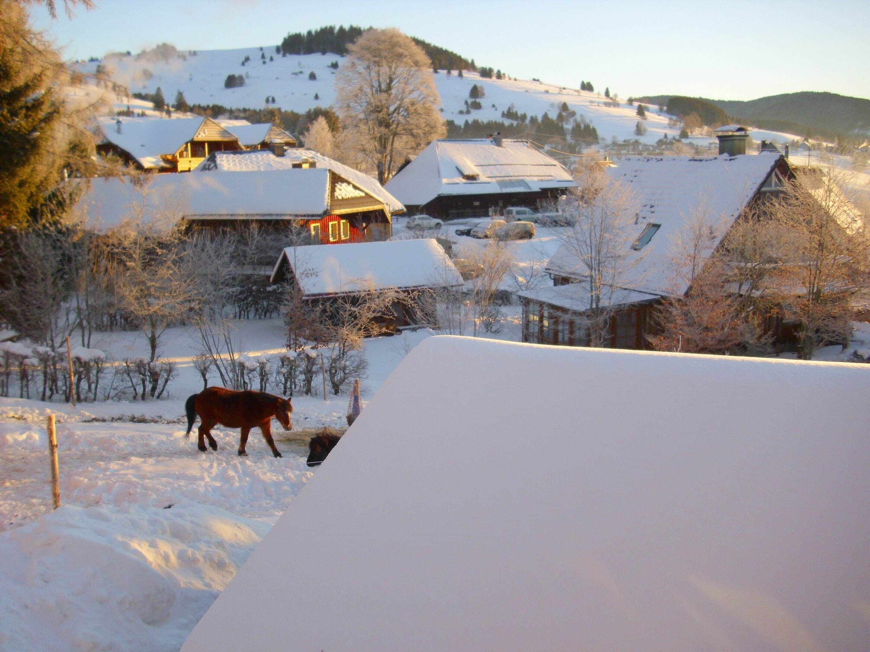 A snowy village with houses and a horse.