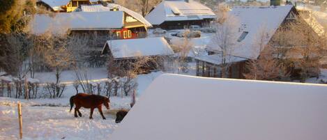 A snowy village with houses and a horse.