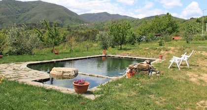 Holiday Home in Canossa With Swimming Pool, Garden, Barbecue