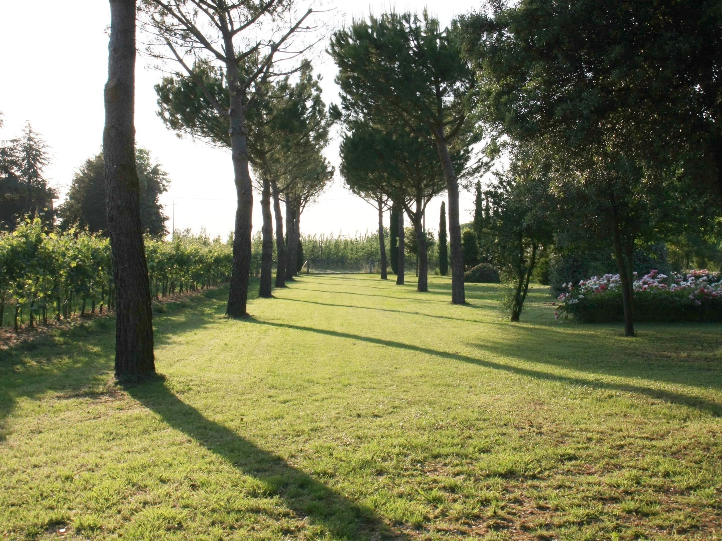 Nhà tiện nghi đơn giản, 5 phòng ngủ | Quang cảnh nhìn từ nơi lưu trú