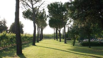 Rumah Comfort, 5 kamar tidur | Pemandangan dari properti