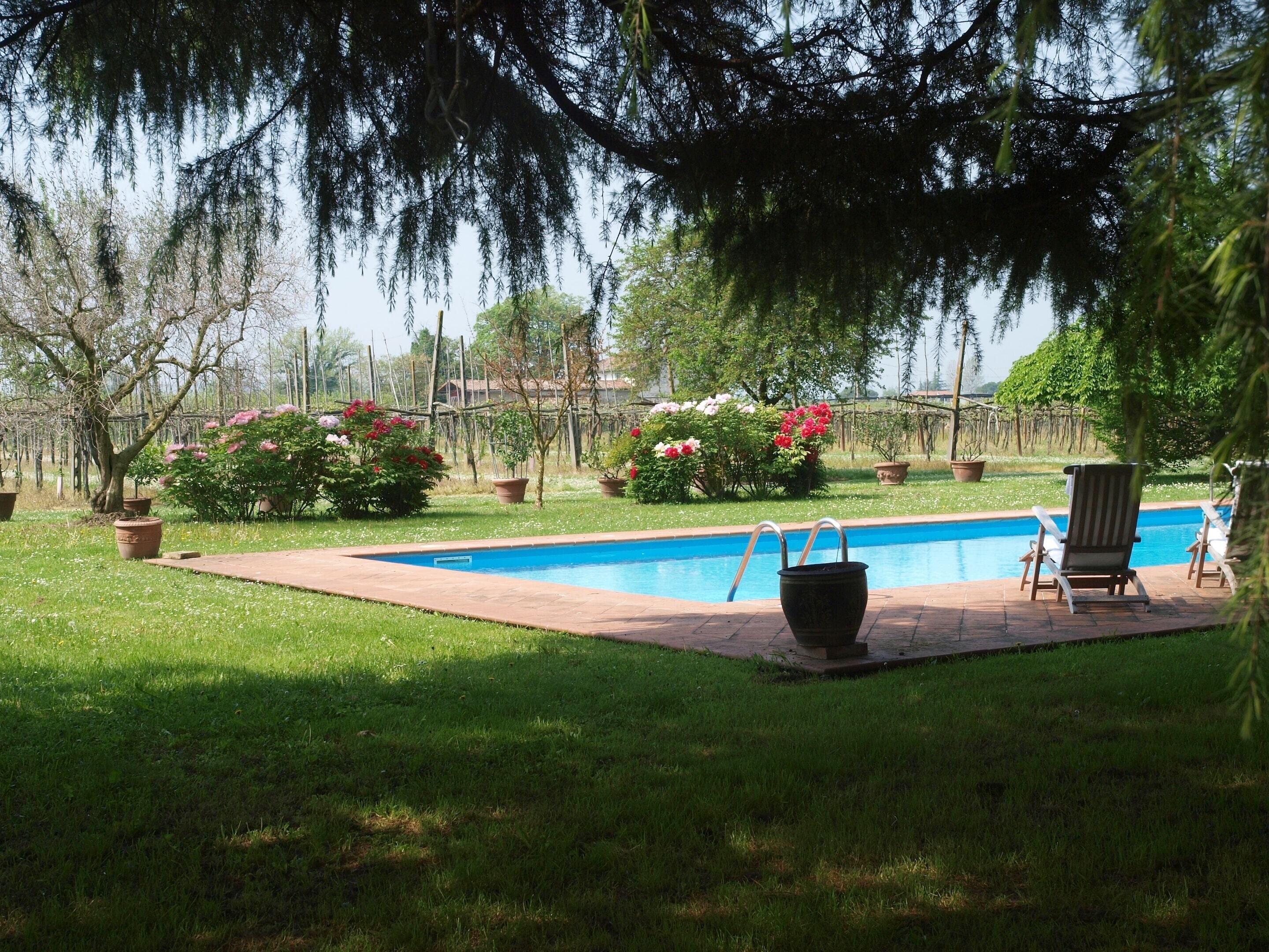 Une piscine entourée d’une pelouse, agrémentée de plantes en pot et dotée d’une terrasse en bois.