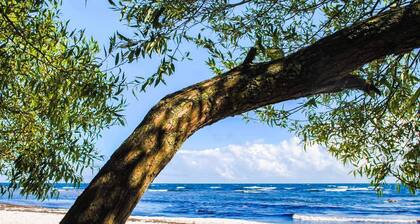 6 Person Holiday Home in Allinge