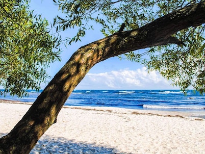 6 Person Holiday Home in Allinge