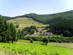 View from property - Cosy Holiday Home in the Hochsauerland With Terrace at the Edge of the Forest (Bestwig)