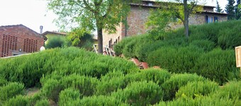 Idyllic Farmhouse in Gambassi Terme-fi With Swimming Pool