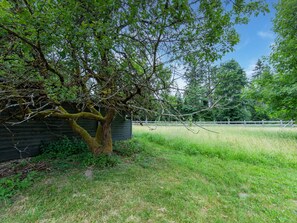 A tree with moss-covered branches in front of a corrugated metal wall. - Spacious Semi-detached House With Wood Stove Located Directly on the Rennsteig (Eisfeld)