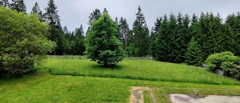 Maison classique, 6 chambres | Balcon