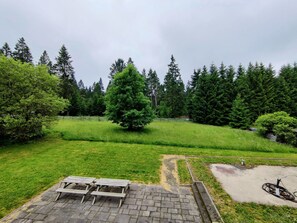 Classic House, 6 Bedrooms | Balcony - Spacious Semi-detached House With Wood Stove Located Directly on the Rennsteig (Eisfeld)