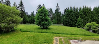 Spacious Semi-detached House With Wood Stove Located Directly on the Rennsteig