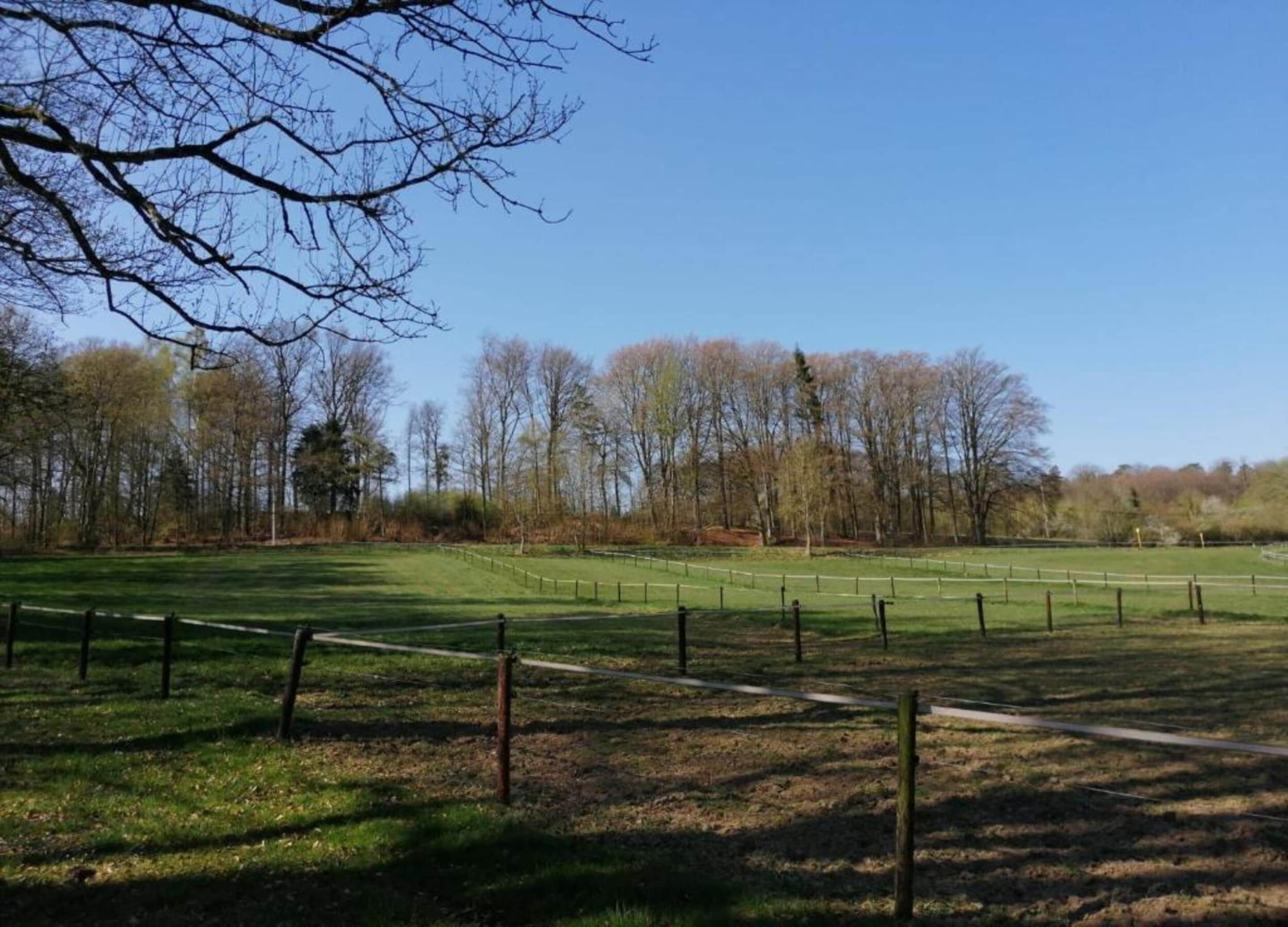A grassy field with a fence and trees in the background.