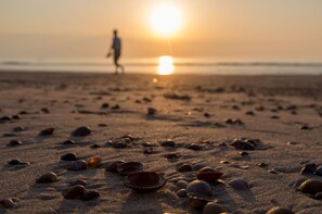 클래식 아파트, 침실 2개 | 내부 세부 사진