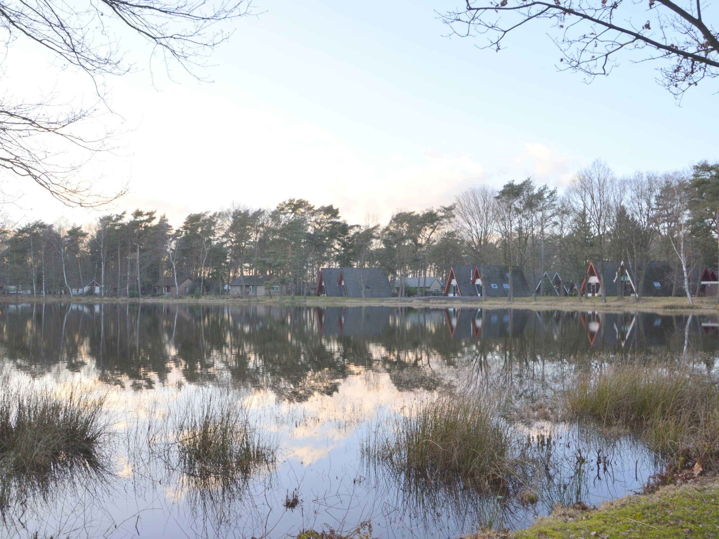 Ein ruhiger See mit Spiegelungen von Bäumen und Gebäuden, umgeben von einem Wald.