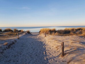 En sandstig som leder till havet, med sanddyner på vardera sidan.