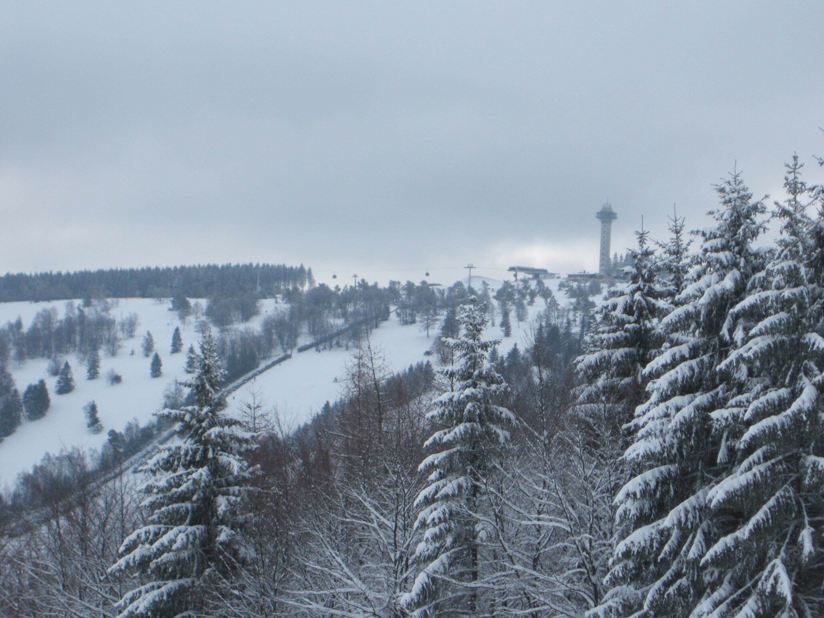 A snowy landscape with a tower and trees.