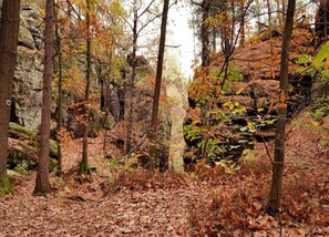 View from property - Cosy Apartment in Weissig With Garden (Struppen)