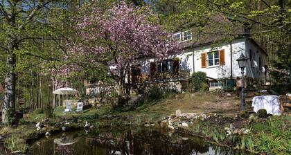 Charming Apartment in Weissenbrunn Near Forest