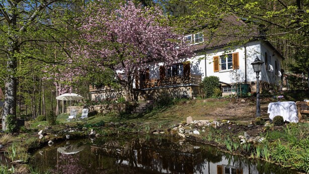 Une maison avec un étang, entourée d’arbres et de verdure.