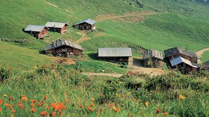 Un paisaje rural con varias casas de madera en una colina, rodeado de campos verdes y flores silvestres.