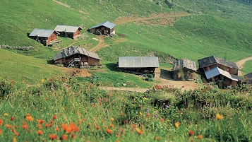 Vista des de l'allotjament