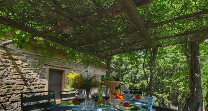 Cottage La Stefania Near Anghiari in Beautiful Setting