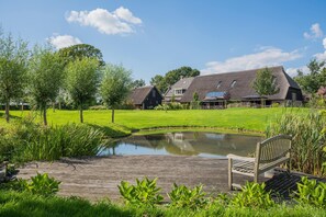 Garden - Grandeur Farmhouse in Dwingeloo at a National Park (Dwingeloo)