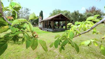 Casa Classic, 1 camera da letto | Giardino