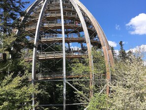 Leilighet – classic, 2 soverom | Utsikt fra overnattingsstedet