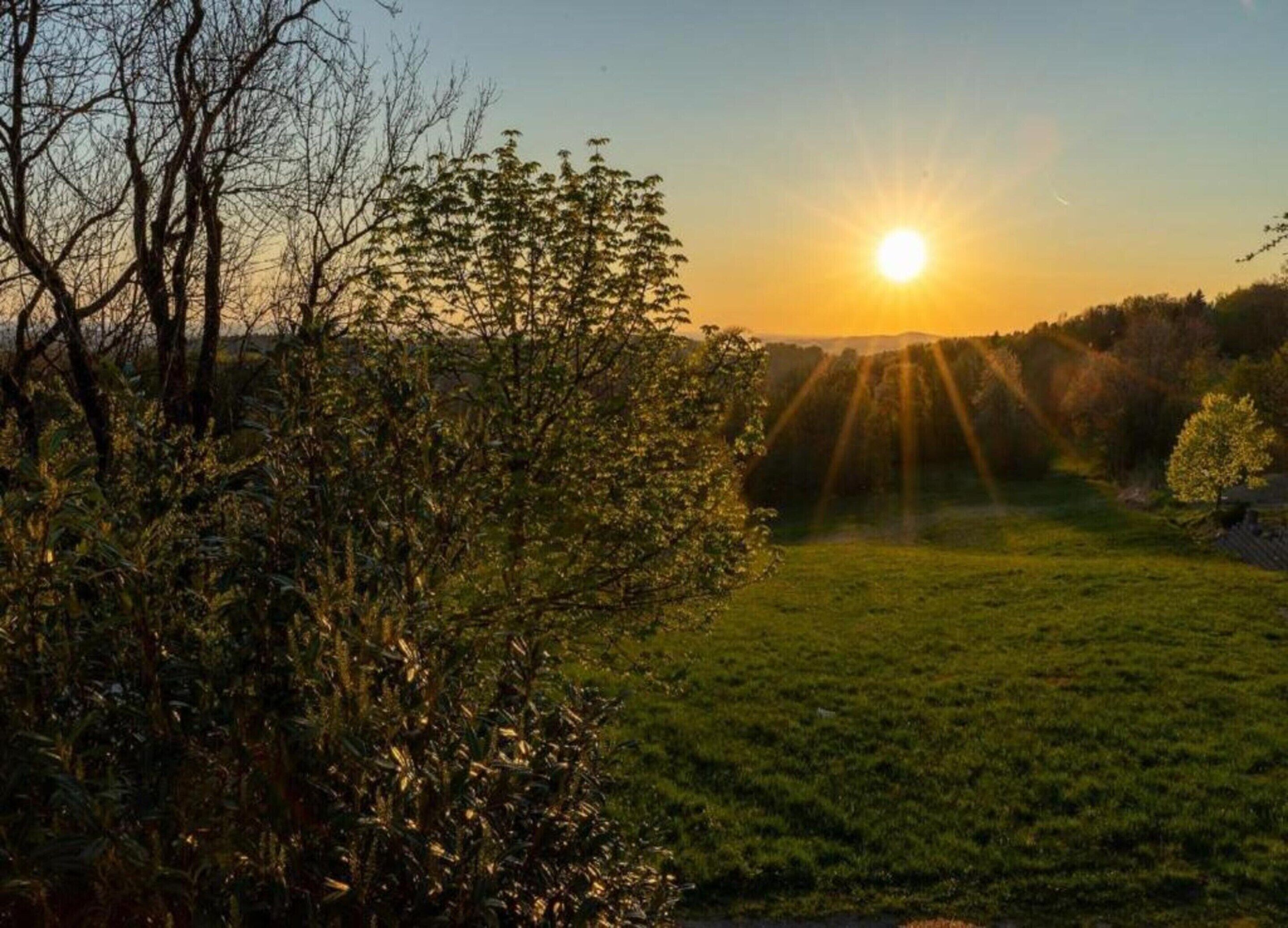 Un atardecer sobre un campo cubierto de hierba con árboles en primer plano.