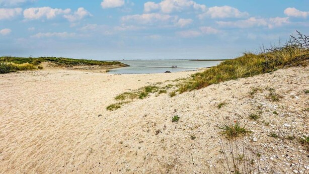 A sandy beach with dunes and a calm sea under a clear sky. - Luxury 8-person Wellness Villa With Sauna and Outdoor hot tub is Unique (Colijnsplaat)