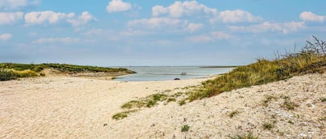 Vue depuis l’hébergement