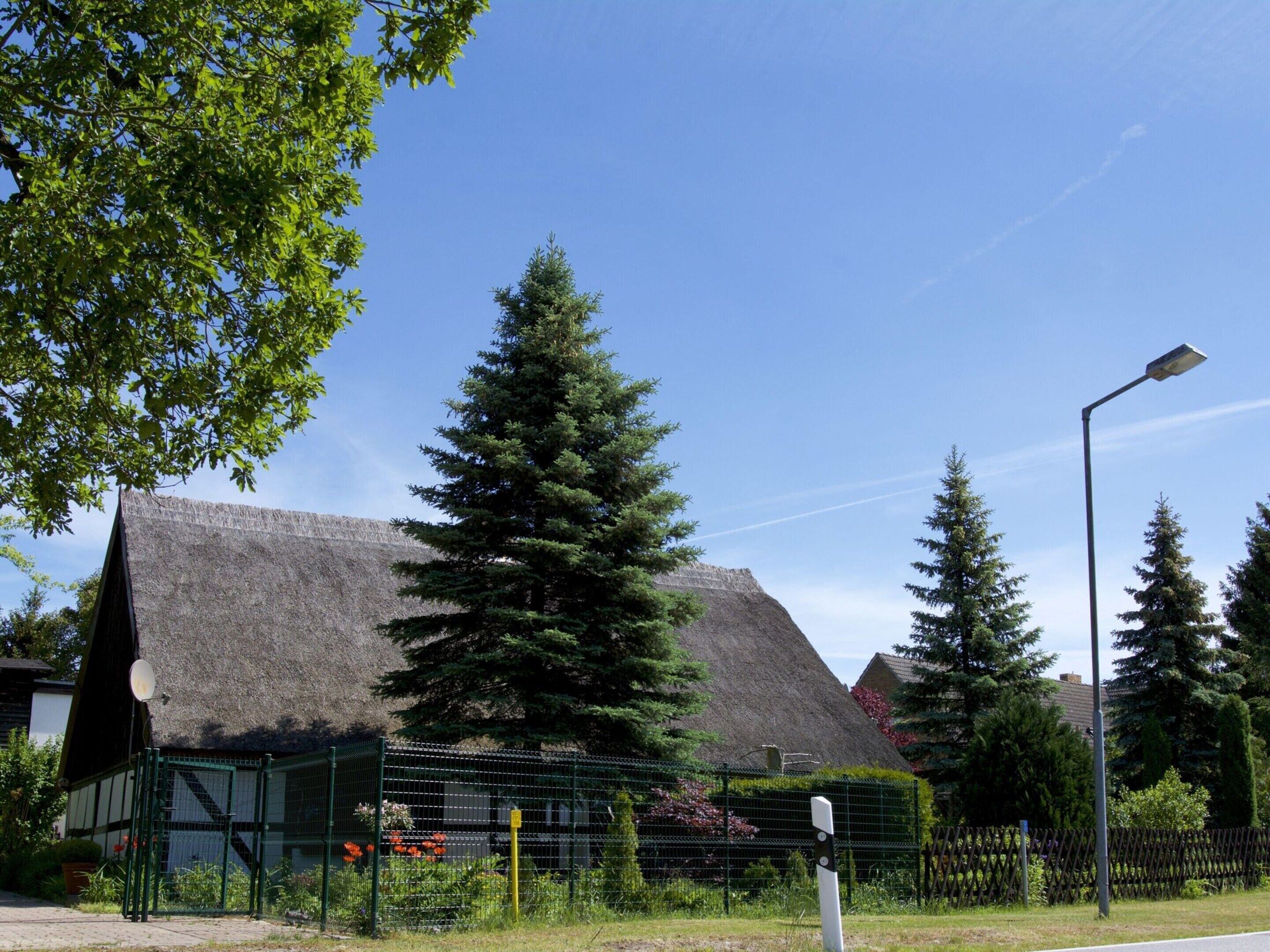 A traditional thatched-roof building with a modern glass enclosure, surrounded by trees and a street lamp.